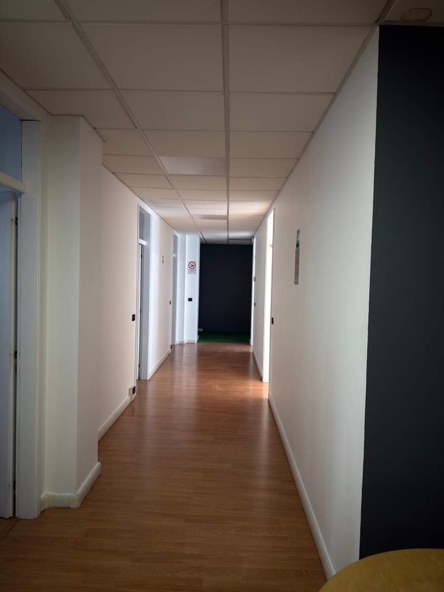 Corridoio di uffici tinteggiato di bianco con parete di fondo verde scuro e controsoffitto